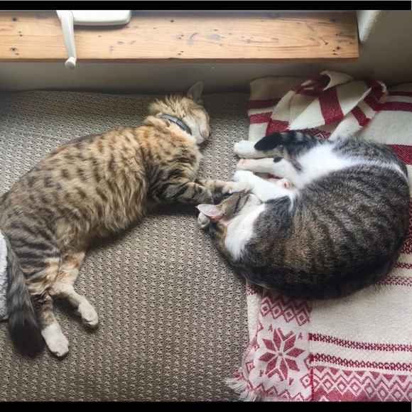 Hello there! Iโm Wilow - Picture 4 of 6